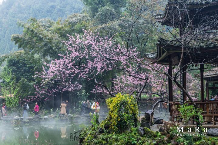 西游记悟空传3