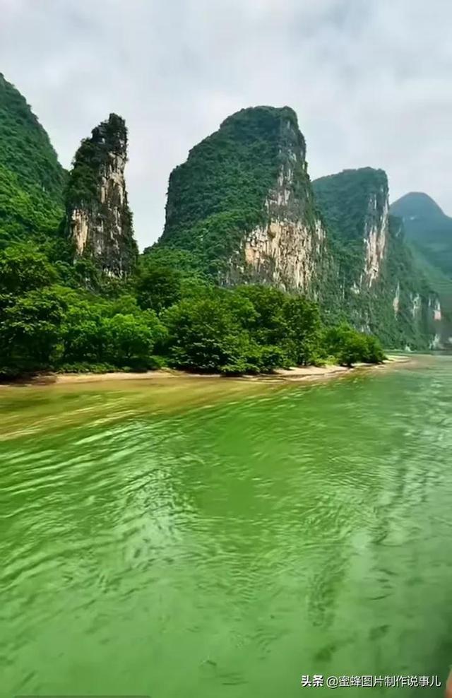 老鹰逃生